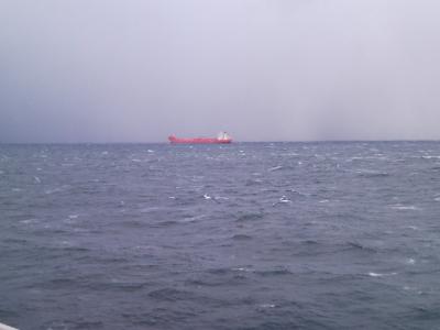 SNC00727.jpg