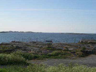 IMG_1153.JPG