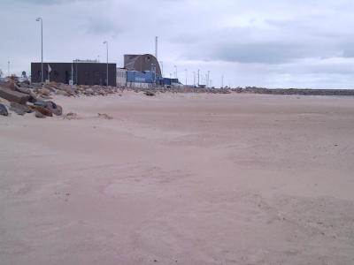 SNC01315.jpg