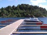 SNC00515.jpg