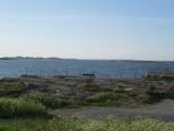 IMG_1153.JPG