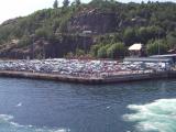 SNC00341.jpg