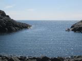 IMG_1236.JPG