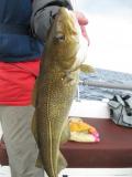 IMG_1227.JPG