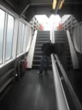 CIMG0981.JPG