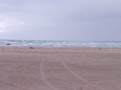 SNC01317.jpg