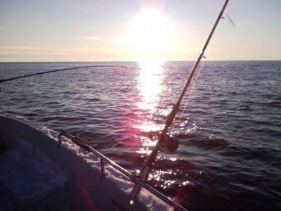 SNC00804.jpg